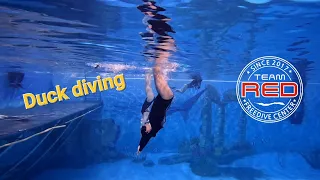 freediver/freediving/프리다이빙/songdo pool/송도풀/salvimar/살비마/carbonio/카보니오/gopro/고프로/팀레드/Redssam/trainer