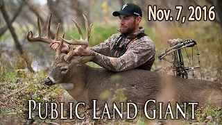 Public Land Monster Buck - DIY Iowa Bowhunt | Midwest Whitetail