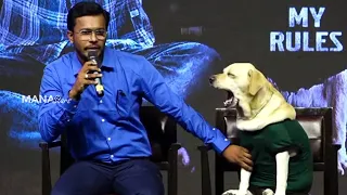 Dog Charlie Cute Visuals While His Trainer Pramod Talking | 777 Charlie Press Meet