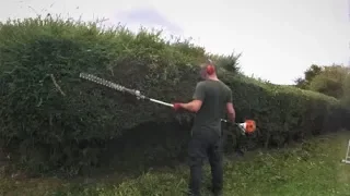 Trimming Overgrown Hedges