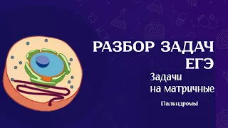 Разбор задачи ЕГЭ на палиндромы | ЕГЭ Биология