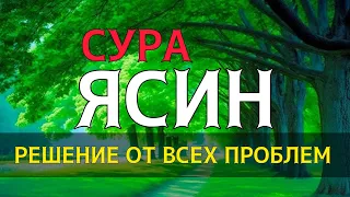 🎧 ❤ ️Сура Ясин! ежедневно от всех ваших проблем Ин Шаа Аллах