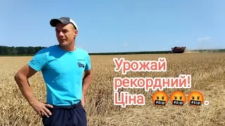 😉 І знову джек-пот, рекордний врожай пшениці ❗ Ціни на пшеничку 🤬❗ Вологість пшениці 👍❗ Жнива 2023р.