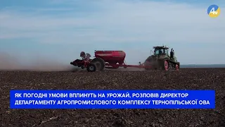 Як погодні умови вплинуть на урожай Тернопільщини?