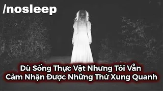 Dù Sống Thực Vật Nhưng Tôi Vẫn Cảm Nhận Được Những Thứ Xung Quanh | nosleep