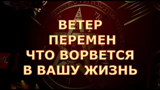 💨ВЕТЕР ПЕРЕМЕН ЧТО💥 ВОРВЕТСЯ В ВАШУ ЖИЗНЬ Таротерапия #tarot#shorts#gadanie#таросегодня