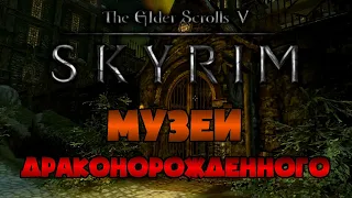 TES 5: SKYRIM • Поиск первых артефактов для музея!