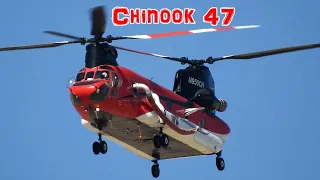 Boeing CH-47 Chinook Close Fly-By
