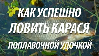 КАК ЛОВИТЬ КАРАСЯ ПОПЛАВОЧНОЙ УДОЧКОЙ. СЕКРЕТЫ ЛОВЛИ КАРАСЯ С БЕРЕГА