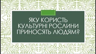 Яку користь культурні рослини приносять людям