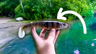 Will This BIG SWIMBAIT Catch Fish?!