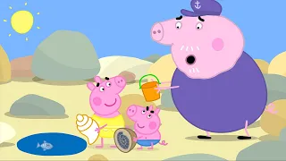 The AMAZING Beach Discovery 🐚 🐽 Peppa Pig and Friends Full Episodes