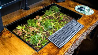 DIY Terrarium Computer Desk with a Live Edge from Reclaimed Materials