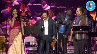 Botany Patamundhi Song - SP Balasubramanyam LIVE Performance || Maestro Ilaiyaraaja Music Concert