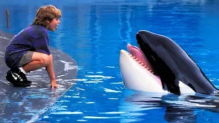 A Boy Bond of Strong Friendship With a Ferocious Orca Whale