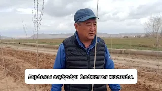 "Жашыл мурас" өнөктүгү