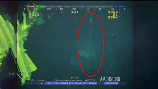 Magnapinna Squid: Unseen Footage at Drilling Site (2008) | Magnapinna Archive