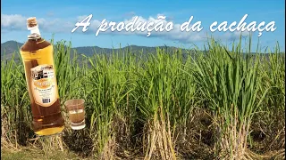 Todo o processo da produção da cachaça, da colheita da cana até o engarrafamento!