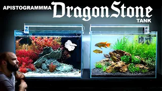 Opposite DRAGONSTONE Aquarium: AMAZING Aquascape Tutorial w/ Apistogramma Cacatuoides