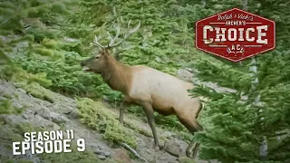 Winterhawk Elk in Colorado - Archer’s Choice (Full Episode)  // S11: Episode 9