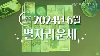 타로 |  2024년 6월 별자리운세🌟