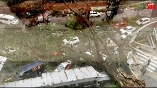 Fallen tree crashes into KL Monorail line, causes massive traffic congestion