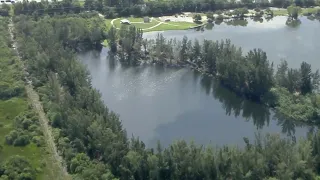 911 call released from Davie alligator attack