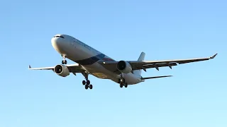 GO AROUND + DIVERSION | Adelaide Plane Spotting