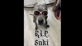 R.I.P. Suki