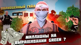 САМАЯ ПРИБЫЛЬНАЯ ПОДРАБОТКА 300К ЗА ПОЛТОРА ЧАСА | ВЫРАЩИВАНИЕ КУСТОВ GREEN в GTA 5 RP / Majestic RP