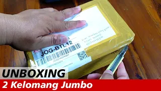 UNBOXING! Paket 2 Kelomang Jumbo | Unboxing | Crabpedia