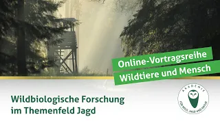 DJV-Online-Vortragsreihe "Wildtiere und Mensch" | Wildbiologische Forschung im Themenfeld Jagd
