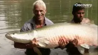 Arapaima | River Monsters