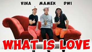 WHAT IS LOVE | Line Dance | Choreo by SWEETY FIVE & ROOSAMEKTO MAMEK | Demo by VINA, DWI & MAMEK