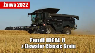 Żniwa 2022 - Fendt IDEAL 8 z Elewator Classic Grain