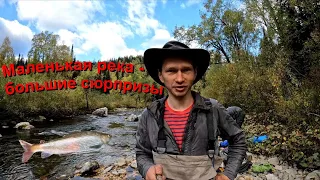 Осенний поход в дебри Кузнецкого Алатау ч.2 | Трофейные Хариусы | Первопроход реки