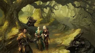 Pathfinder: Kingmaker — слепое прохождение, pt1