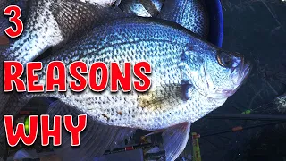 YOU DONT CATCH CRAPPIE LIMITS Year Round (FIX THESE NOW)