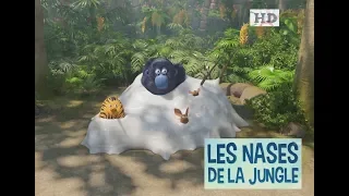 LES AS DE LA JUNGLE - LES NASES DE LA JUNGLE  HD