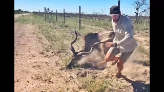 Kudu Rescue in Central Kalahari