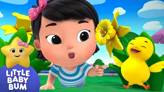 6 Little Ducks Counting ⭐ Mia's Learning Time! Little Baby Bum - Nursery Rhymes for Babies | LBB