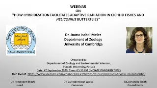 How hybridization facilitates adaptive radiation  in Cichlid fishes  & Heliconius butterflies Joana