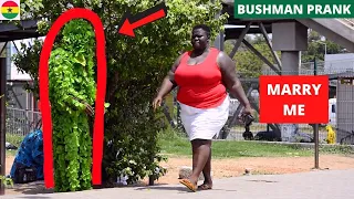 😂😂😂Bushman Proposing To Women! Hilarious Reactions.