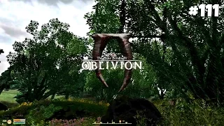 The Elder Scrolls IV: Oblivion GBRs Edition - Прохождение #111: От святилища к святилищу