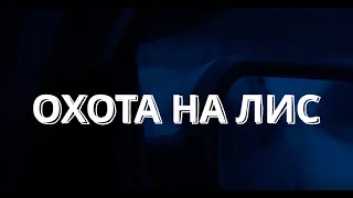 ОХОТА НА ЛИС. ГОНЧИЕ