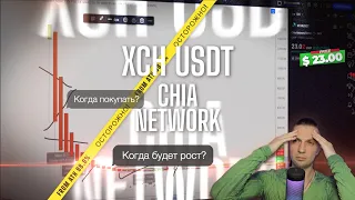 Chia - XCH Когда покупать? Мои мысли про "Чиа криптовалюта» | Слезы Сатоши рекомендует покупать