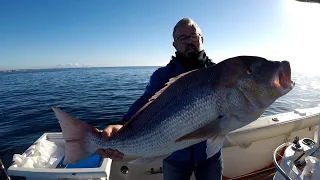 BURBURIN montaje del bajo para el denton