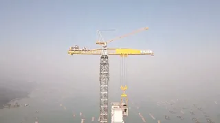 #hugecrane #bridgeconstruction Huge Luffing tower crane is working on Bridge construction.