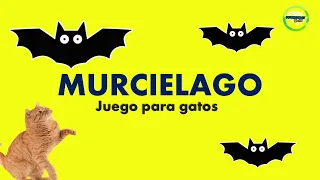 Videos para #gatos | #murcielago