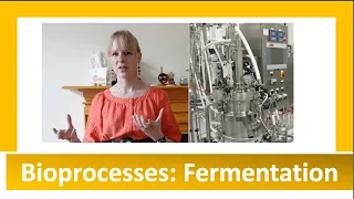 Bioprocesses: Fermentation